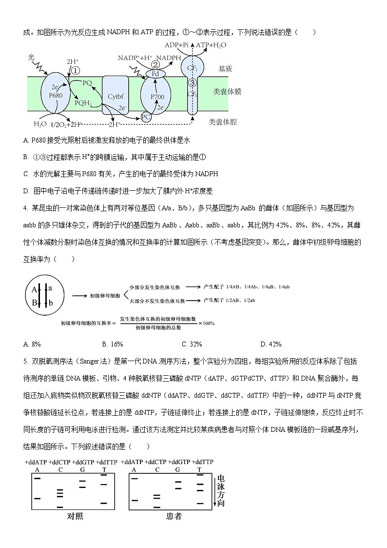 2026届安徽蚌埠市高三上期末第一次教学质量检查考试生物试卷（学生版）第2页