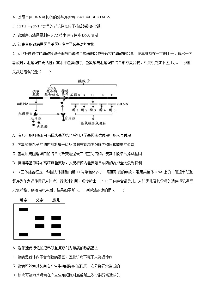 2026届安徽蚌埠市高三上期末第一次教学质量检查考试生物试卷（学生版）第3页
