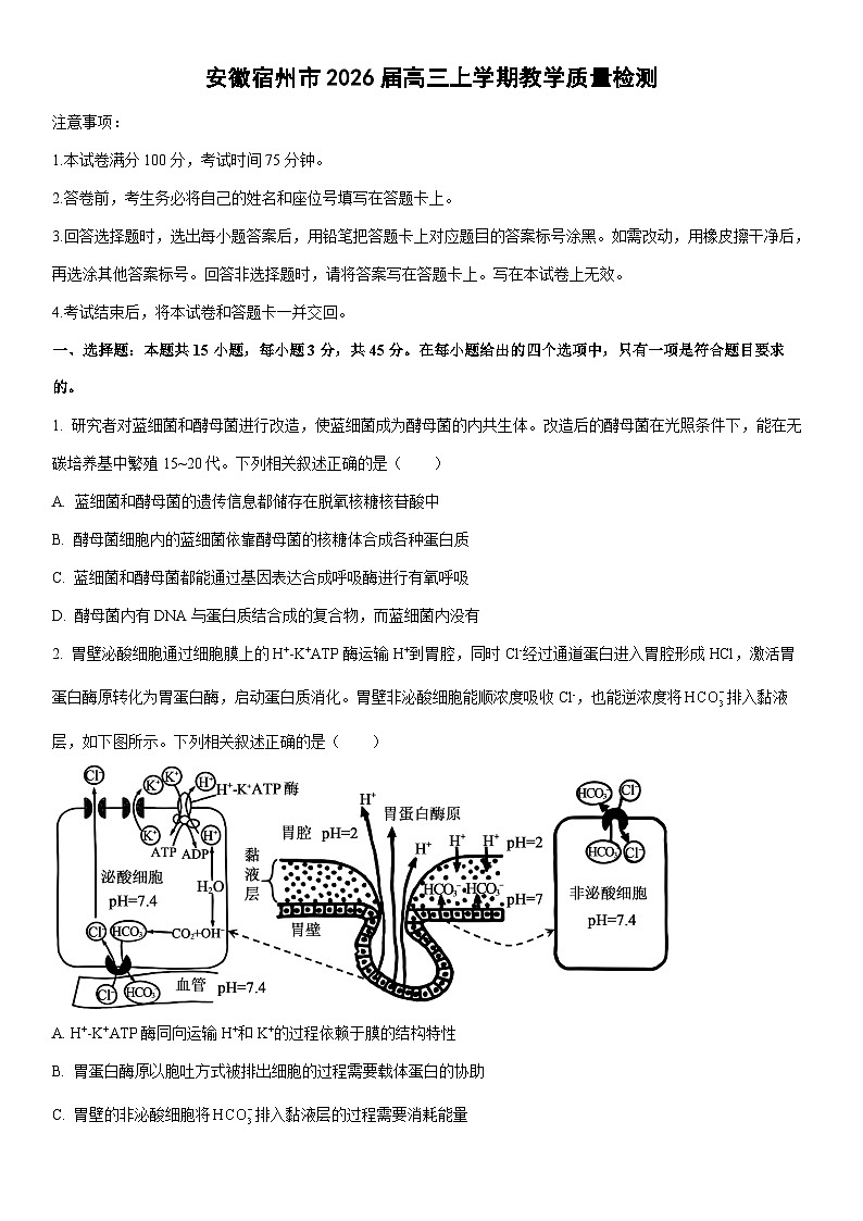 2026届安徽宿州市高三上学期期末教学质量检测生物试卷（学生版）第1页