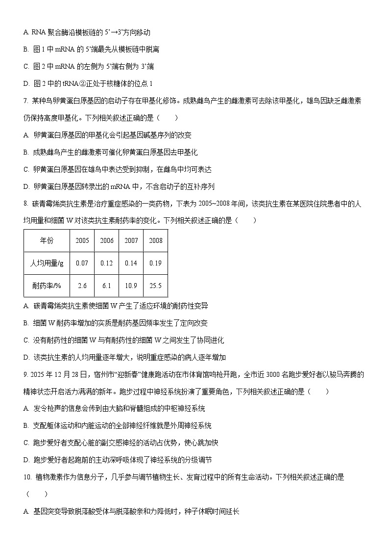 2026届安徽宿州市高三上学期期末教学质量检测生物试卷（学生版）第3页