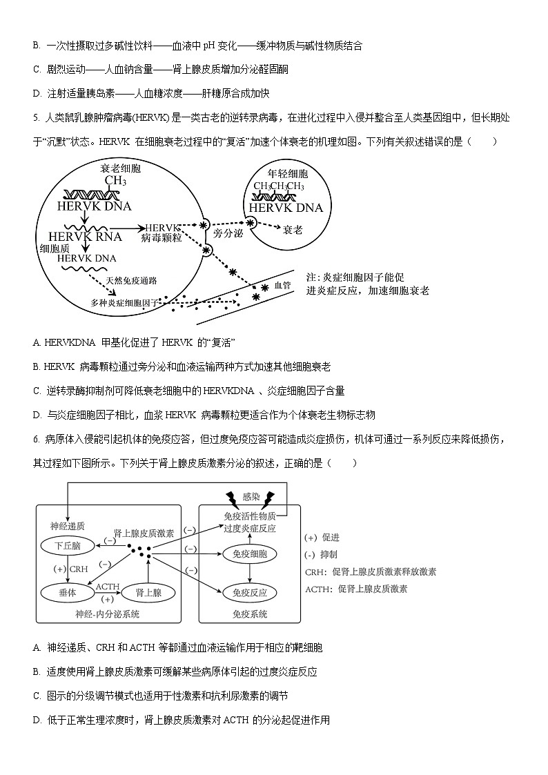 2026届天津市八所重点学校高三上月考联考生物试卷（学生版）第2页