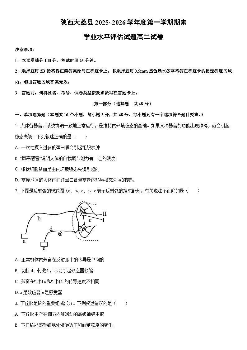 2025~2026学年陕西大荔县度第一学期期末学业水平评估高二生物试卷（学生版）第1页