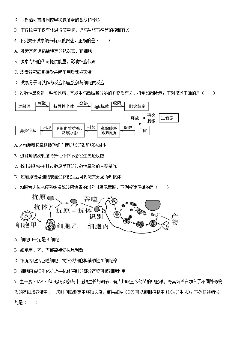 2025~2026学年陕西大荔县度第一学期期末学业水平评估高二生物试卷（学生版）第2页