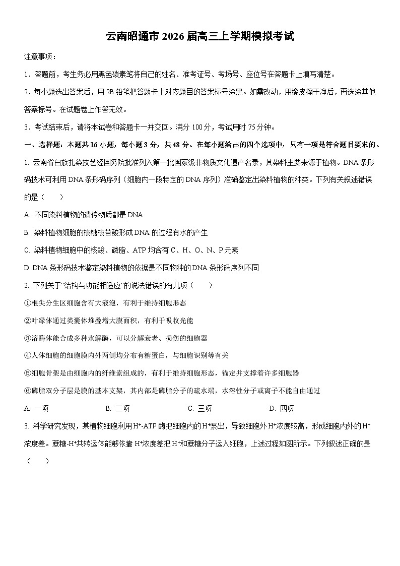 2026届云南昭通市高三上学期模拟考试生物试卷（学生版）第1页