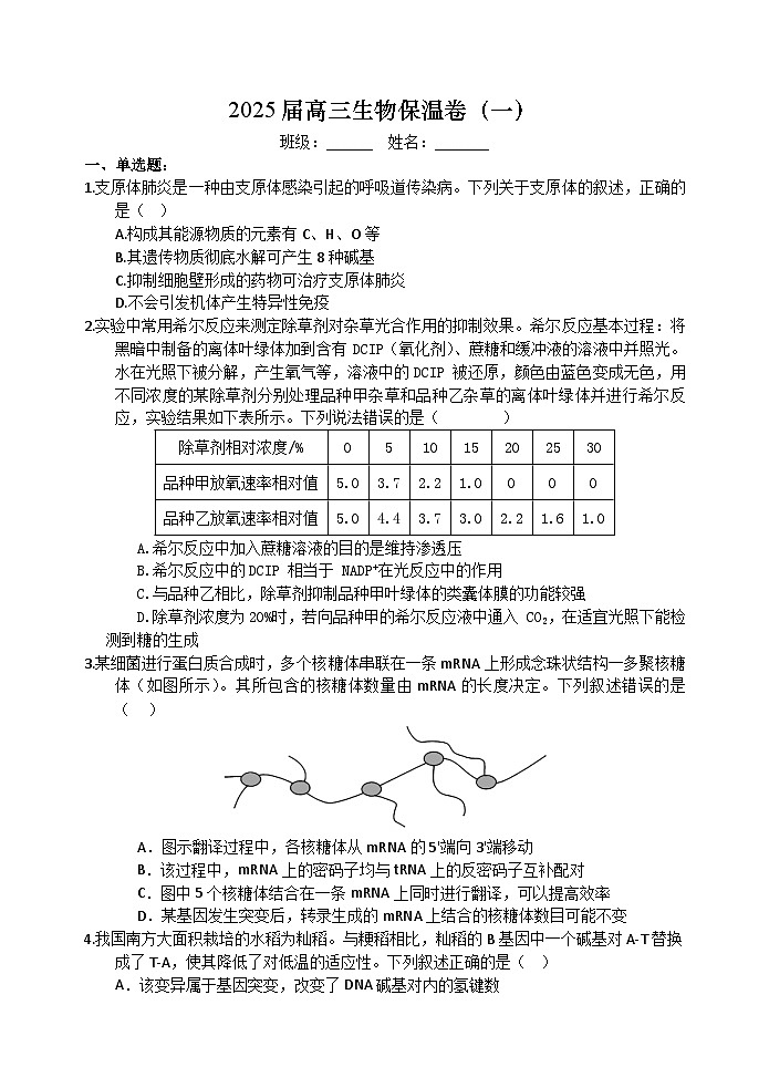 长沙市长郡中学2025届高三下学期保温卷（一）生物试卷（含解析）第1页