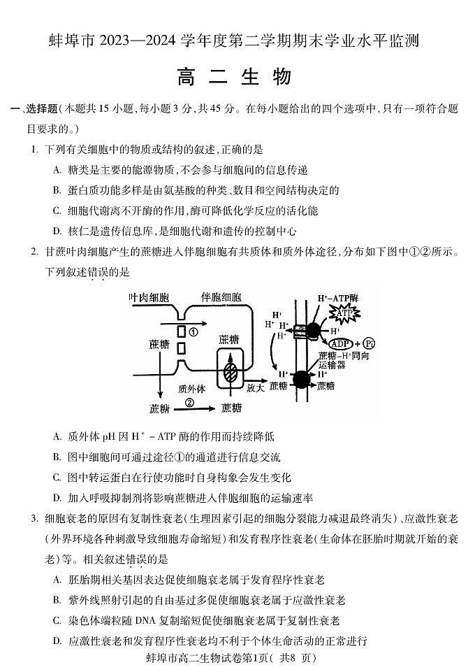 Y蚌埠高二生物试卷第1页