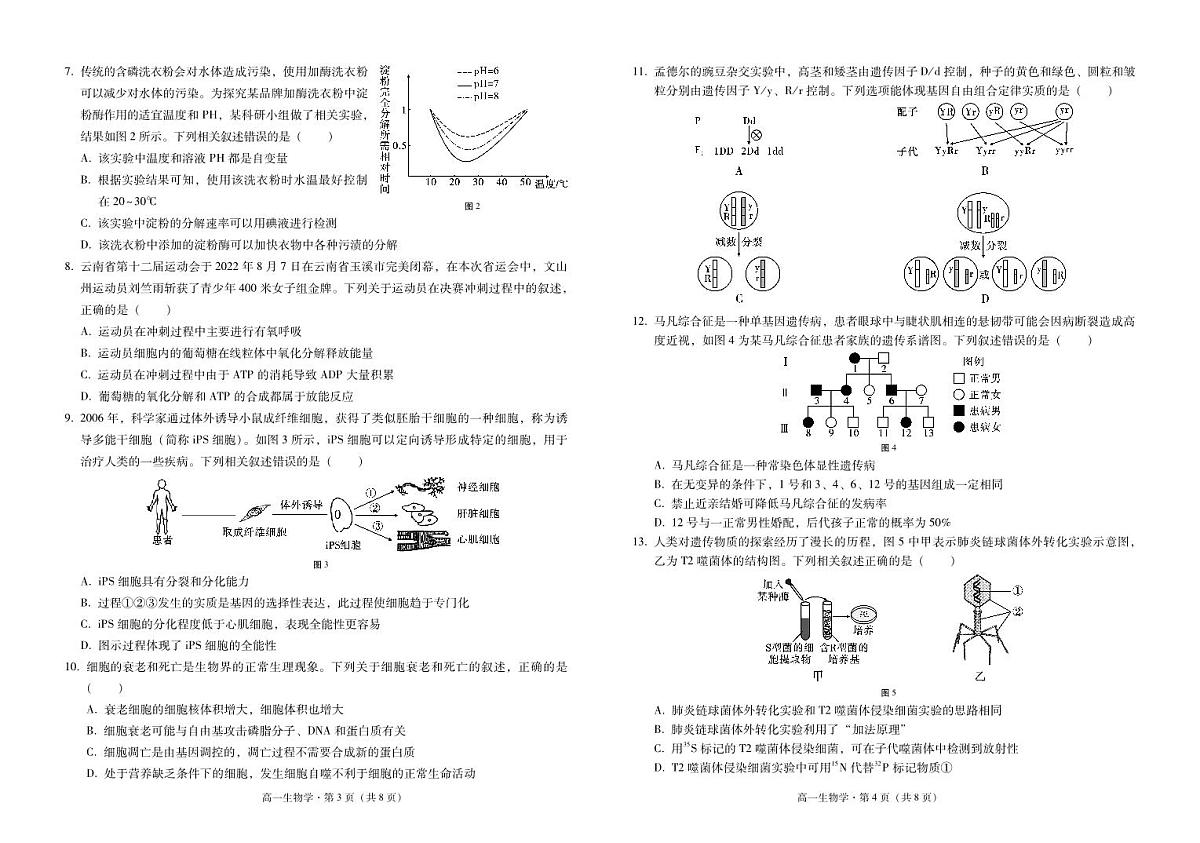 高一生物-试卷第2页
