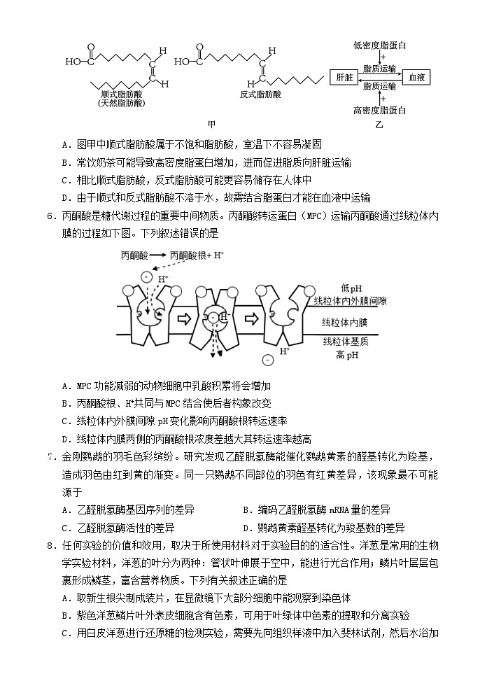 海南省文昌市2025_2026学年高三生物上学期第一次月考试题第2页