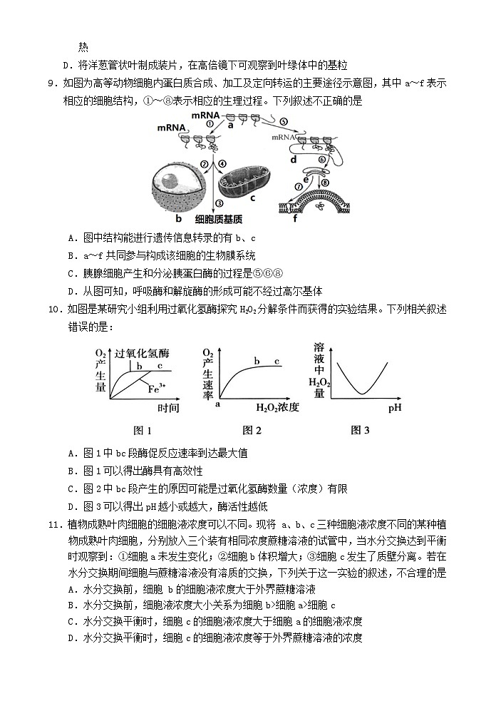 海南省文昌市2025_2026学年高三生物上学期第一次月考试题第3页