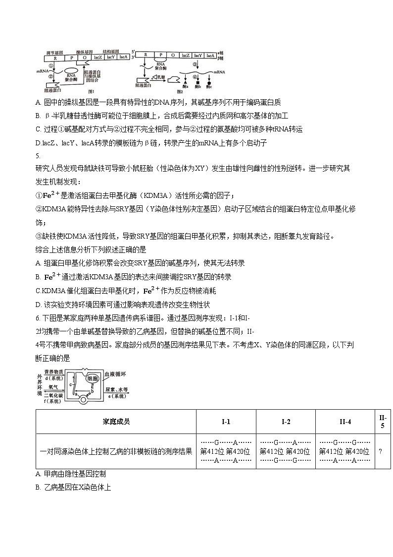 重庆市南开中学校2025_2026学年高二上学期期末生物学试卷（图片版，含答案）第2页