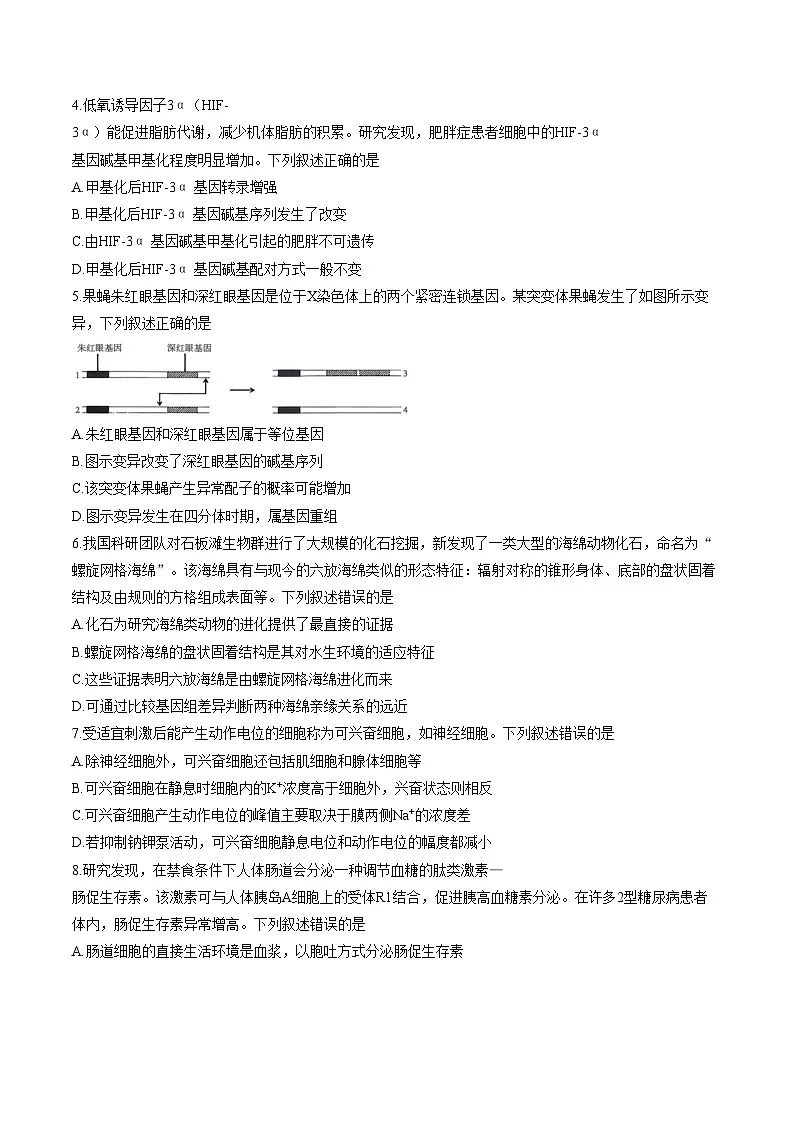 江西吉安市2025_2026学年高三上学期期末教学质量检测生物试题（图片版，含答案）第2页