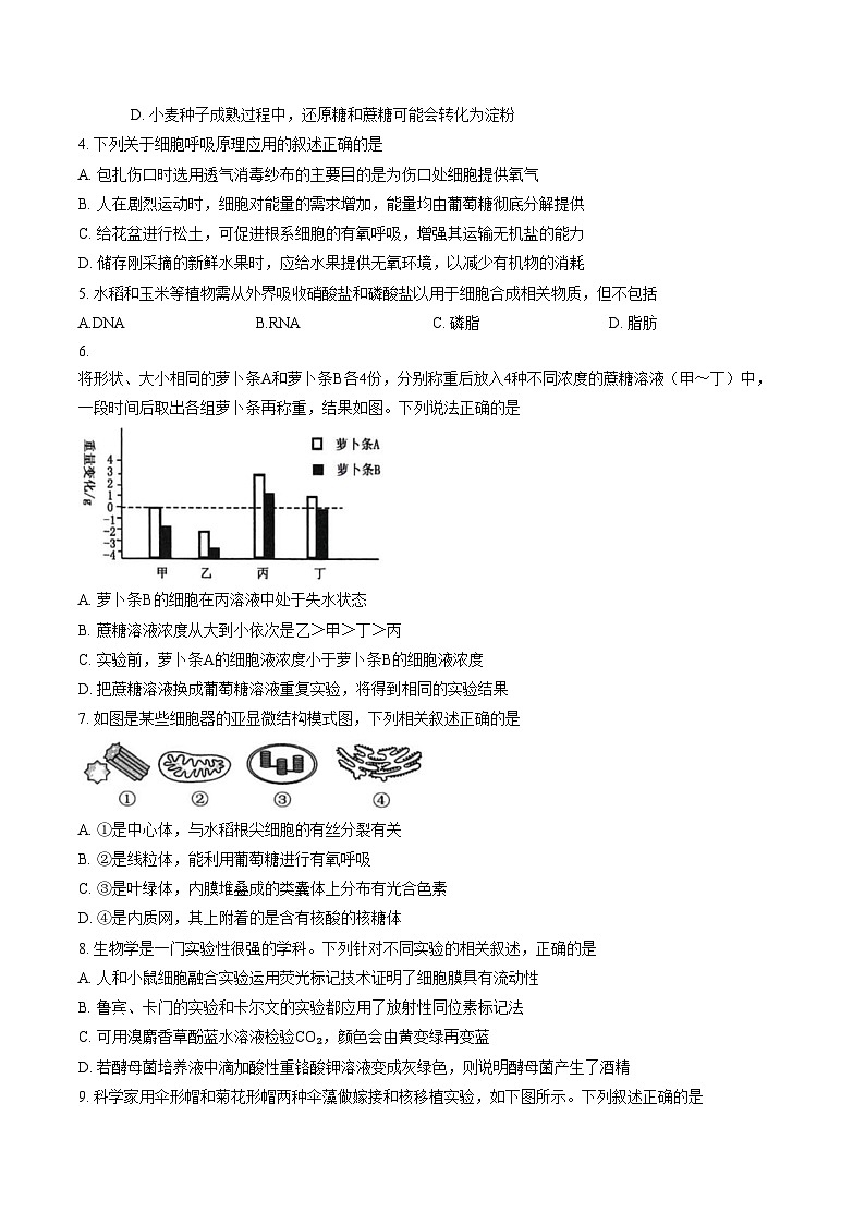 安徽亳州市部分高中2025_2026学年高一上学期末质量检测生物试题（图片版，含答案）第2页