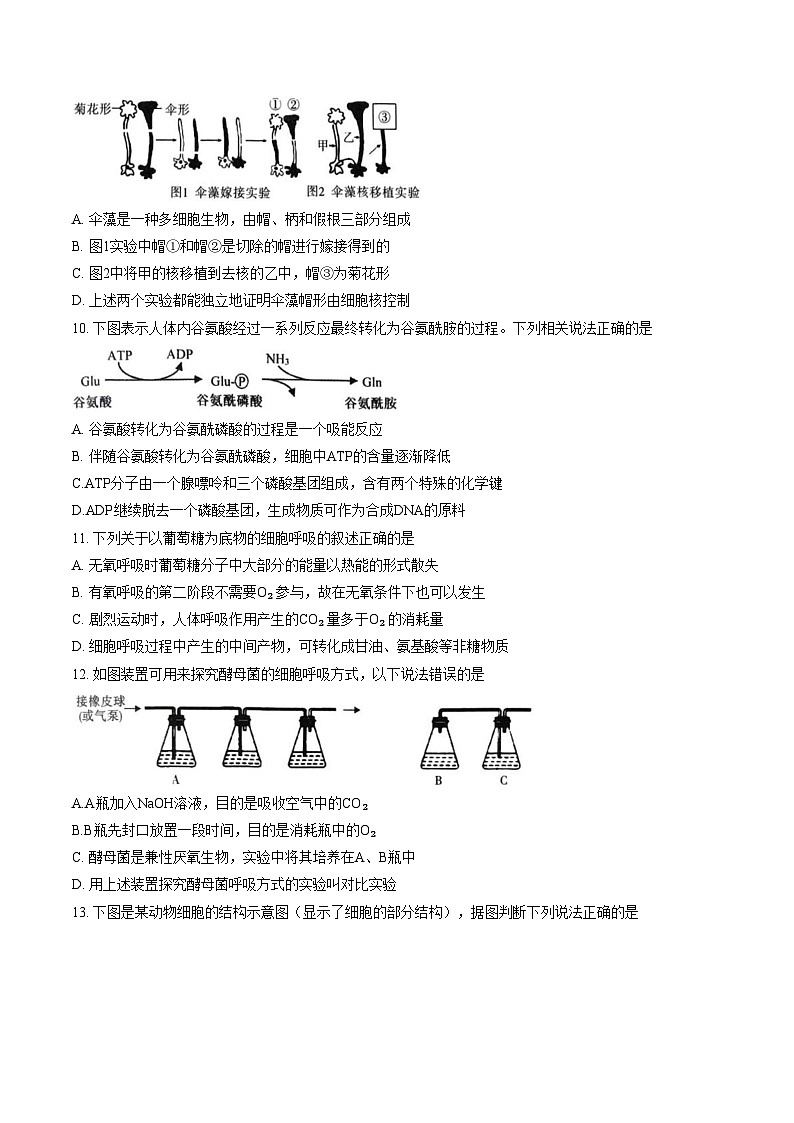 安徽亳州市部分高中2025_2026学年高一上学期末质量检测生物试题（图片版，含答案）第3页