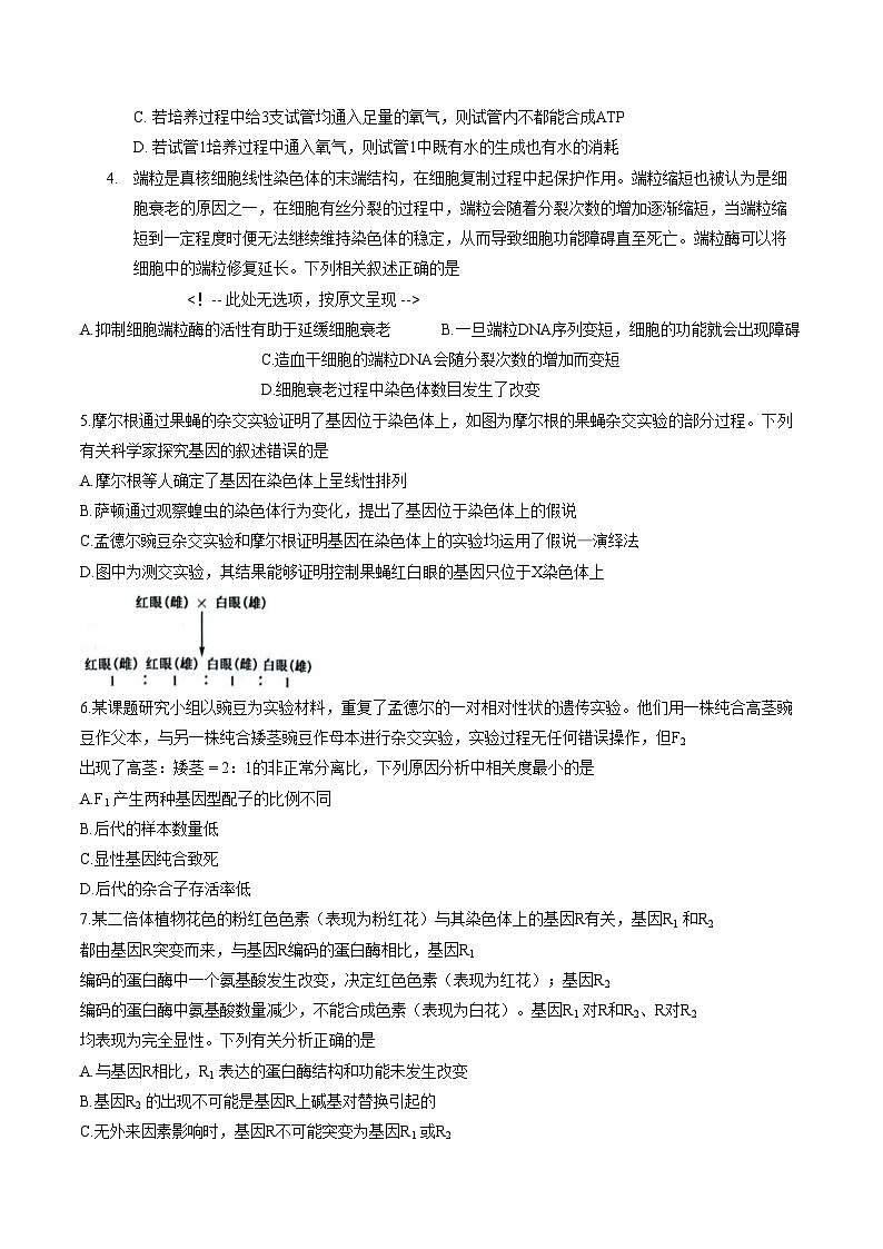 黑龙江省鸡西市2025_2026学年高三上学期1月期末联考生物试题(图片版含答案)第2页