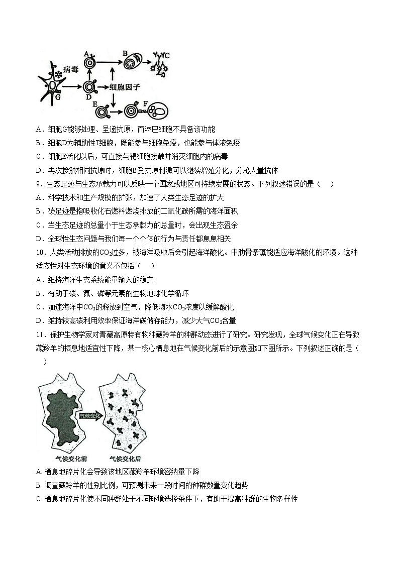 黑龙江省大庆市萨尔图区大庆实验中学2025_2026学年高二上学期1月期末生物试卷（PDF版，含答案）第3页