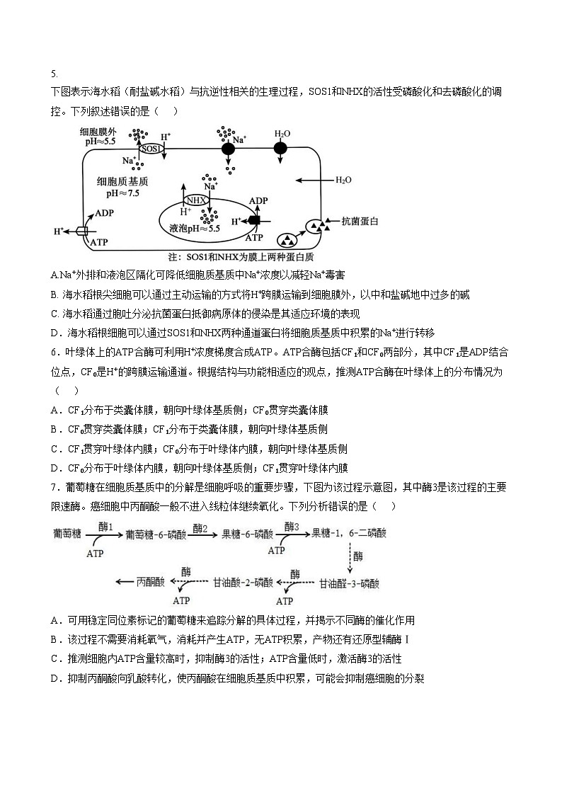 陕西省西安市铁一中2025_2026学年高三上学期12月月考生物试卷（PDF版，含答案）第2页