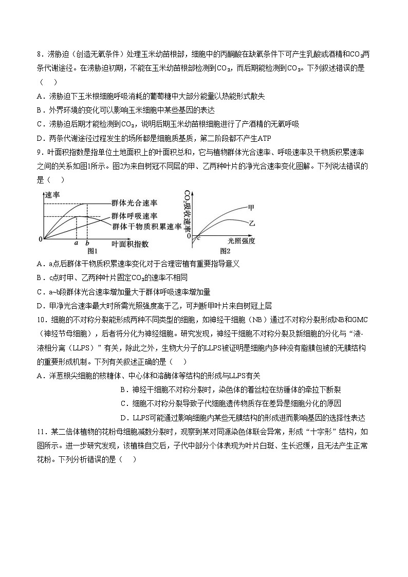 陕西省西安市铁一中2025_2026学年高三上学期12月月考生物试卷（PDF版，含答案）第3页