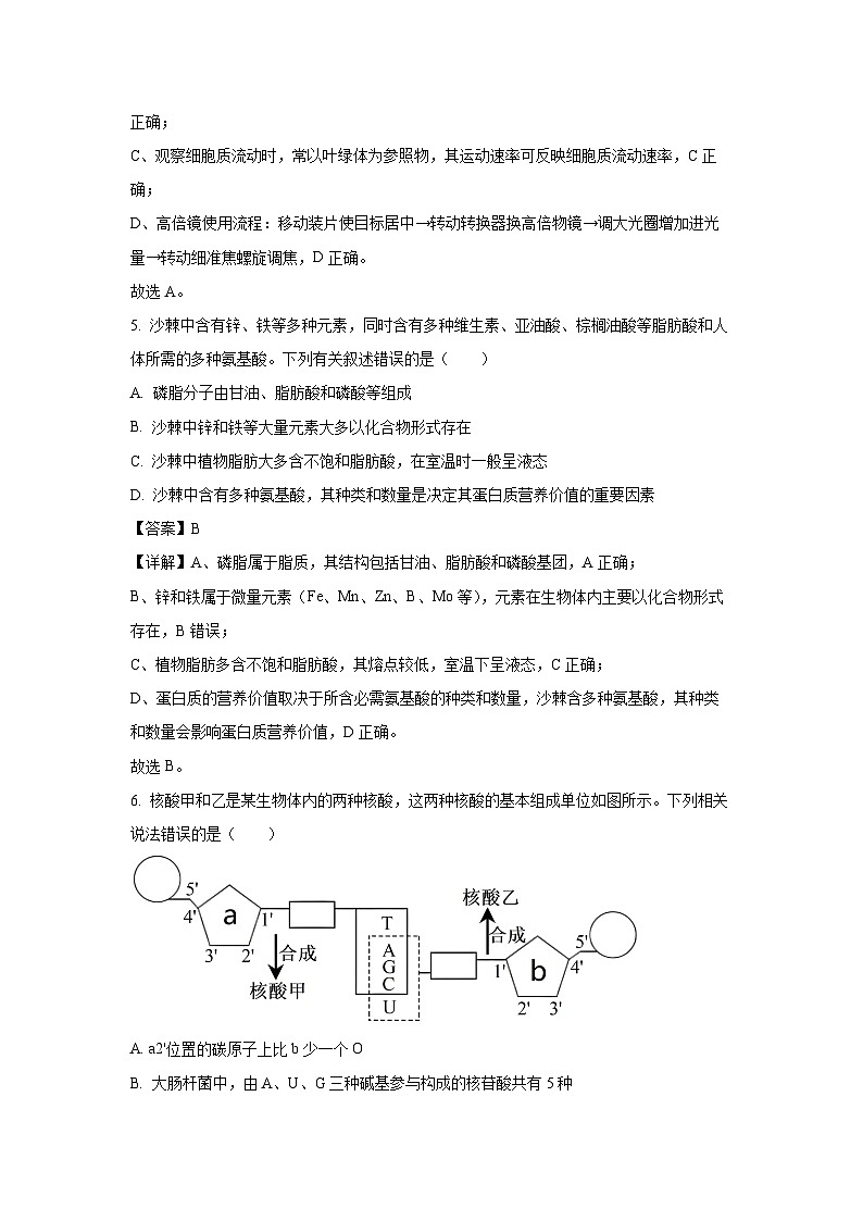 【生物】山西省临汾市2025-2026学年高一上学期期末质量检测试题（解析版）第3页