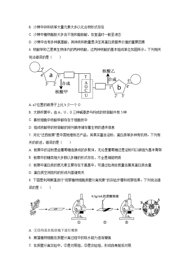 【生物】山西省临汾市2025-2026学年高一上学期期末质量检测试题（学生版）第2页