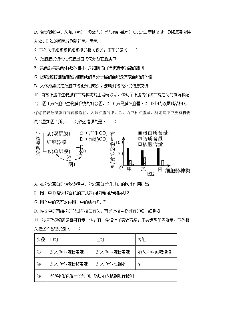 【生物】山西省临汾市2025-2026学年高一上学期期末质量检测试题（学生版）第3页