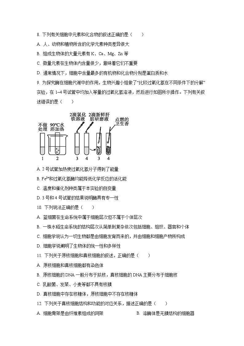 【生物】宁夏回族自治区石嘴山市2025-2026学年高一上学期1月期末考试试题（学生版）第2页
