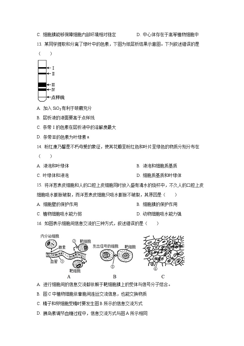 【生物】宁夏回族自治区石嘴山市2025-2026学年高一上学期1月期末考试试题（学生版）第3页