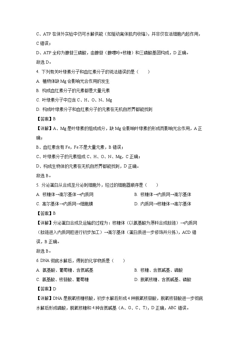 【生物】宁夏回族自治区石嘴山市2025-2026学年高一上学期1月期末考试试题（解析版）第2页