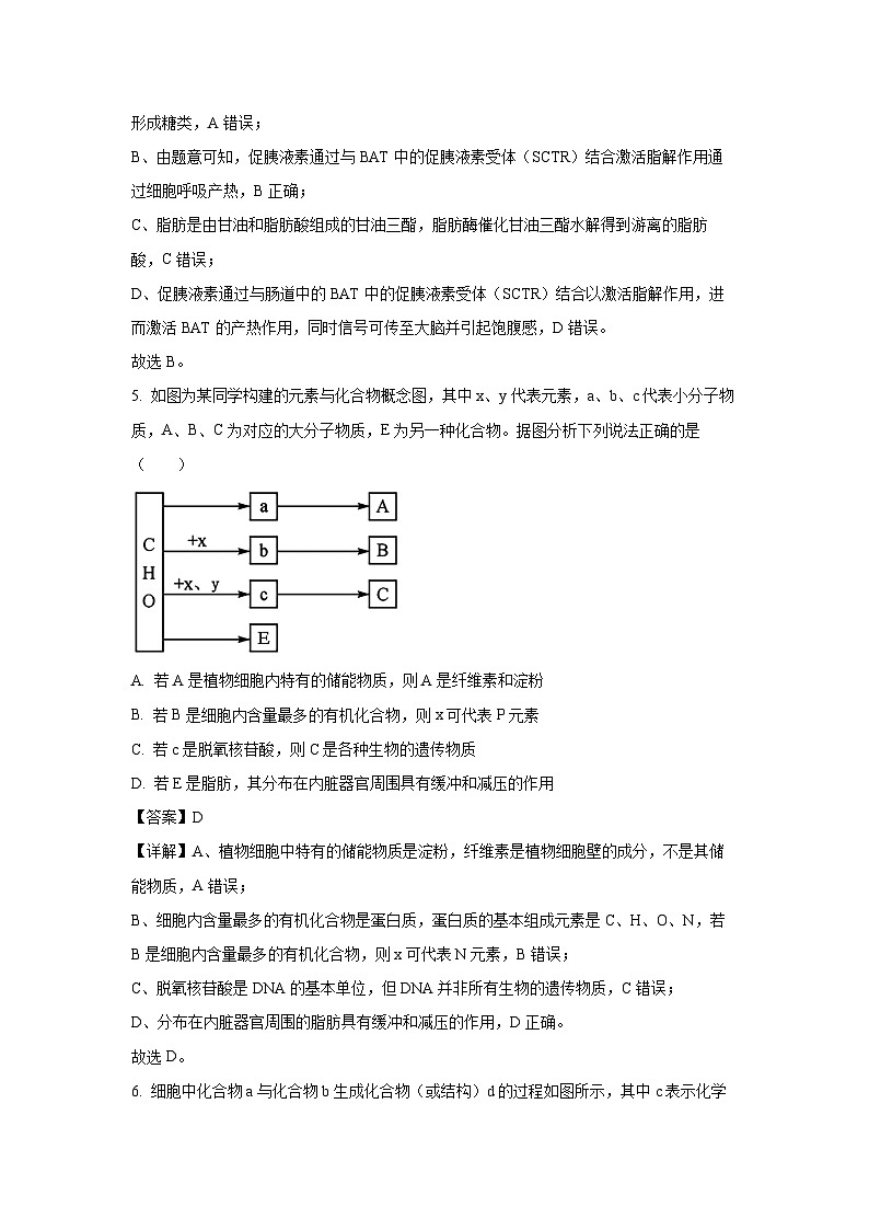 【生物】湖北省随州市部分高中2025-2026学年高一上学期期末联考试题（解析版）第3页