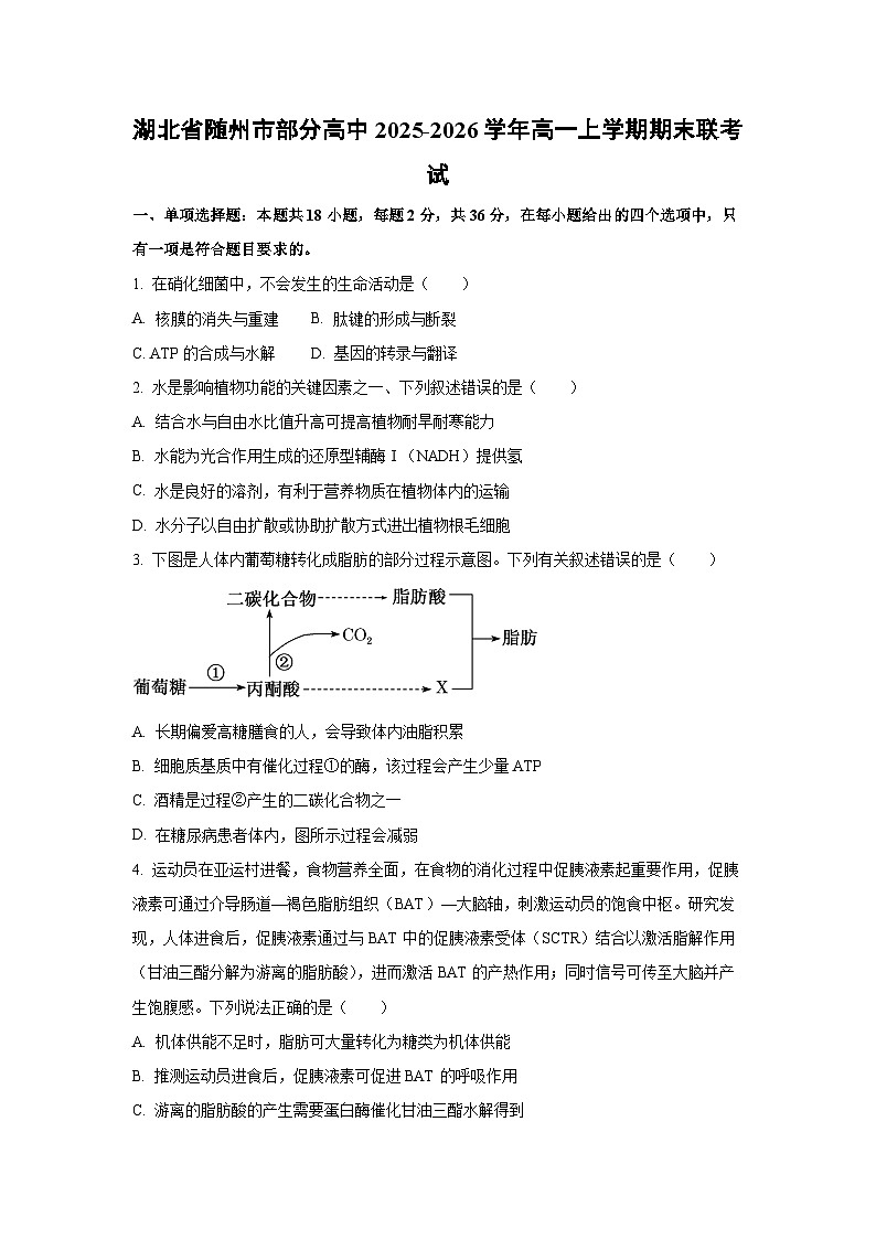 【生物】湖北省随州市部分高中2025-2026学年高一上学期期末联考试题（学生版）第1页