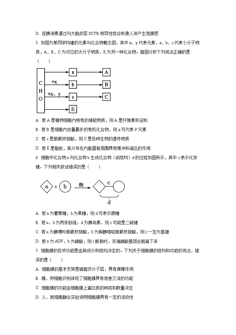 【生物】湖北省随州市部分高中2025-2026学年高一上学期期末联考试题（学生版）第2页