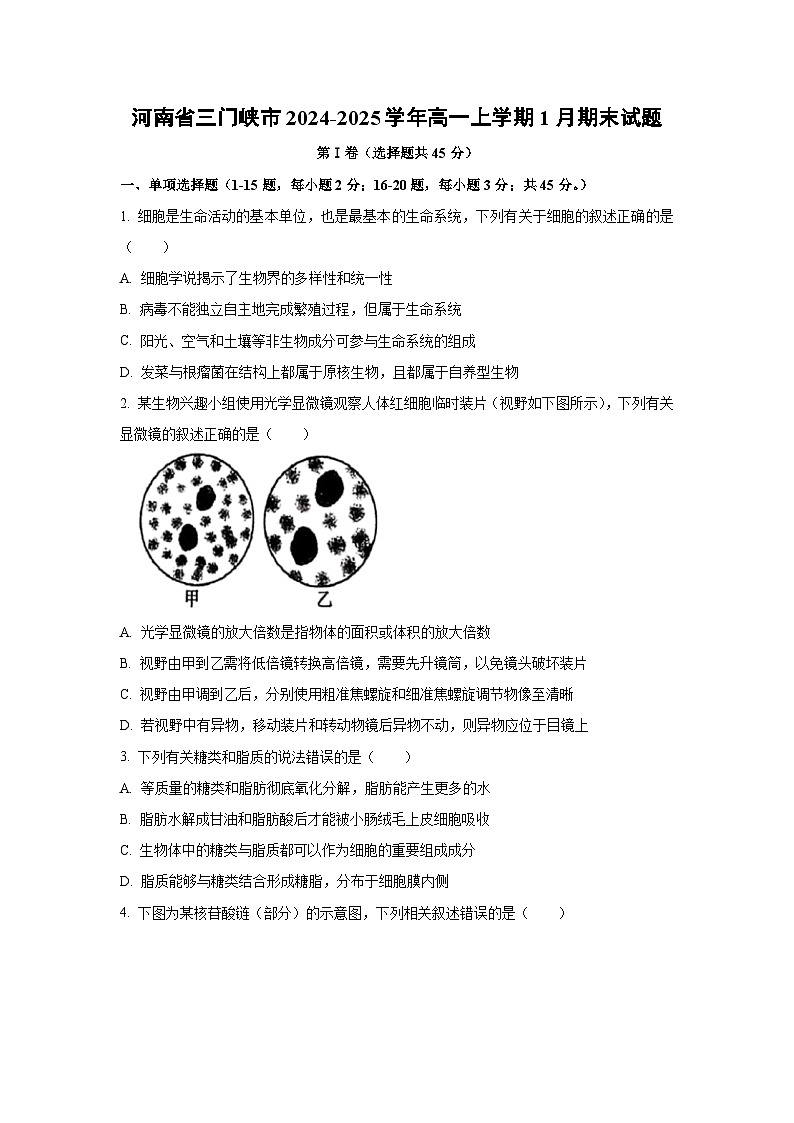 【生物】河南省三门峡市2024-2025学年高一上学期1月期末试题（学生版）第1页