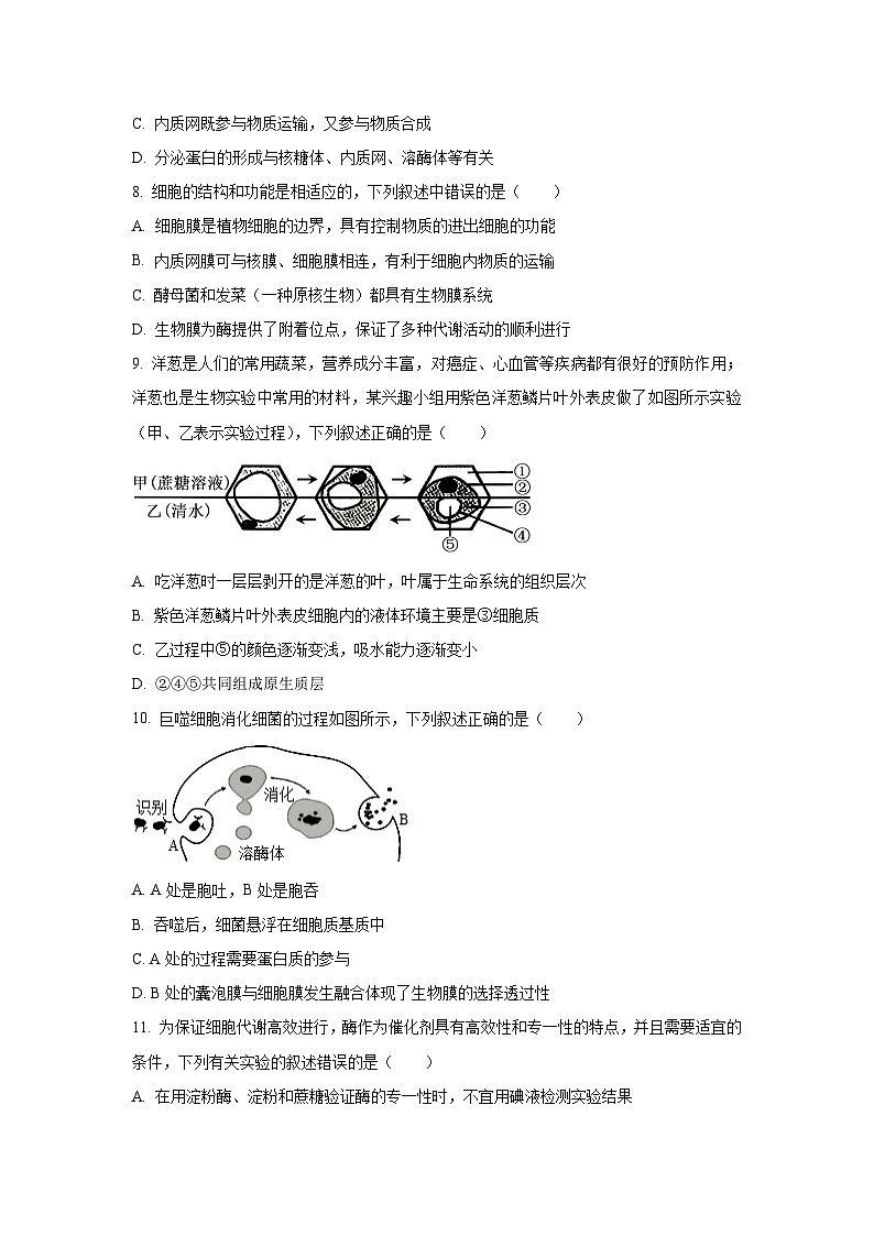 【生物】河南省三门峡市2024-2025学年高一上学期1月期末试题（学生版）第3页