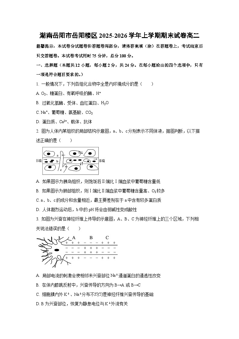 【生物】湖南岳阳市岳阳楼区2025-2026学年上学期期末试卷高二（学生版）第1页