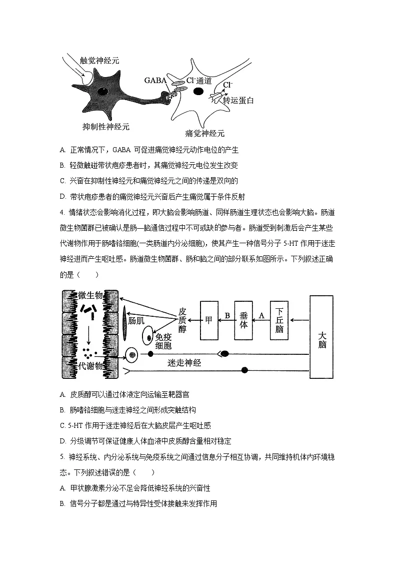 【生物】河南省三门峡市2025-2026学年度上学期期末检测高二试题（学生版）第2页