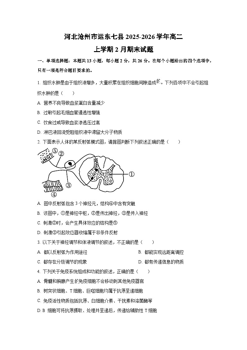 【生物】河北沧州市运东七县2025-2026学年高二上学期2月期末试题（学生版）第1页