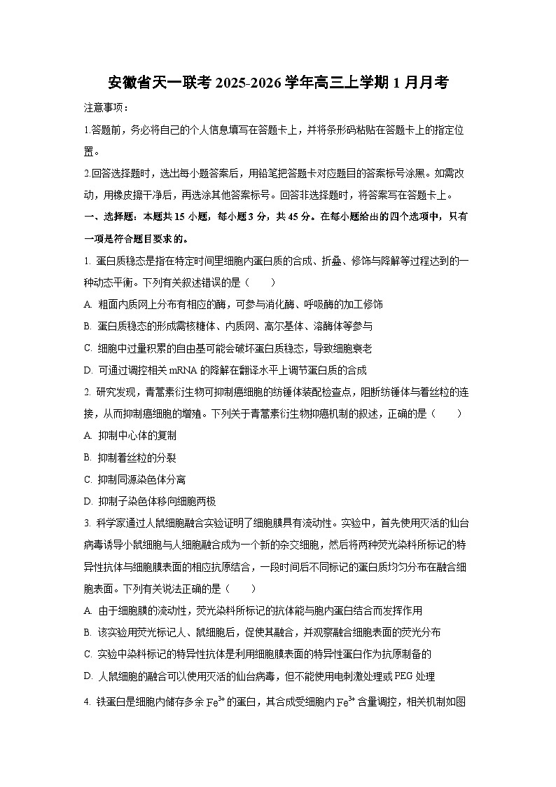 【生物】安徽省天一联考2025-2026学年高三上学期1月月考（学生版）第1页