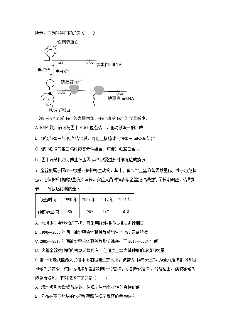 【生物】安徽省天一联考2025-2026学年高三上学期1月月考（学生版）第2页