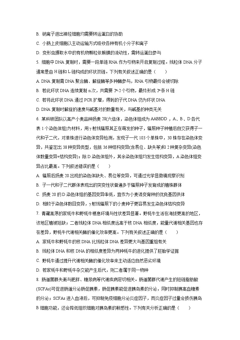 【生物】河北承德高2026届三上学期期末考试（学生版）第2页