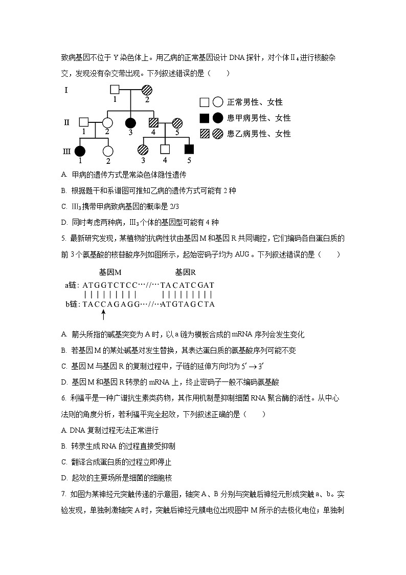 【生物】河南省开封市五县联考2025-2026学年高三上学期2月期末试题（学生版）第2页