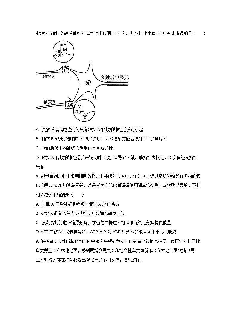 【生物】河南省开封市五县联考2025-2026学年高三上学期2月期末试题（学生版）第3页