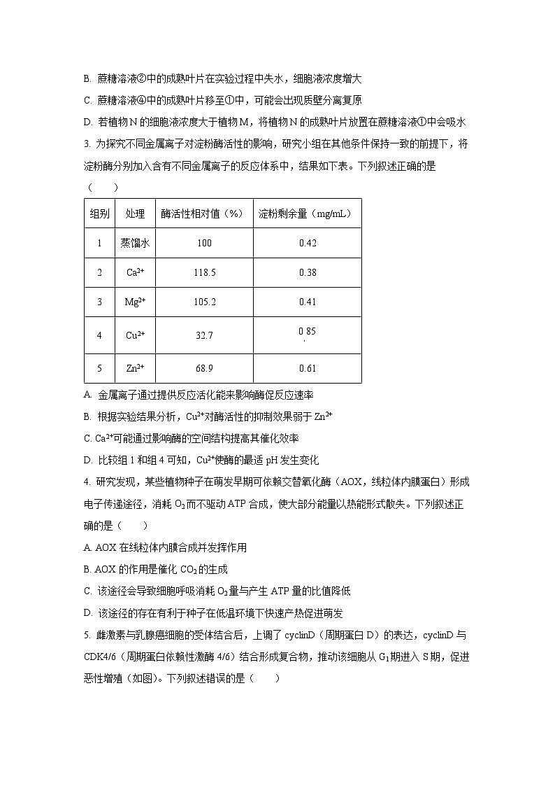 【生物】河南省商丘市九师联盟2025-2026学年高三上学期2月期末试题（学生版）第2页
