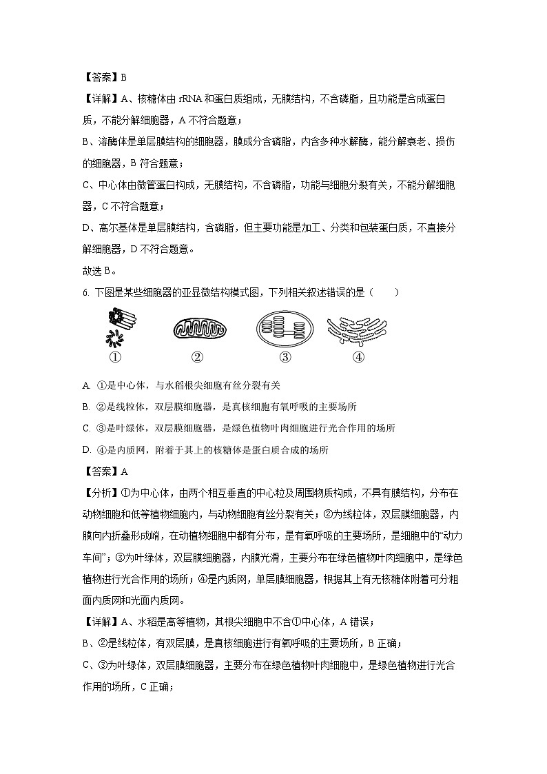 【生物】湖南娄底市部分高中2025-2026学年高三上学期期末考试（解析版）第3页