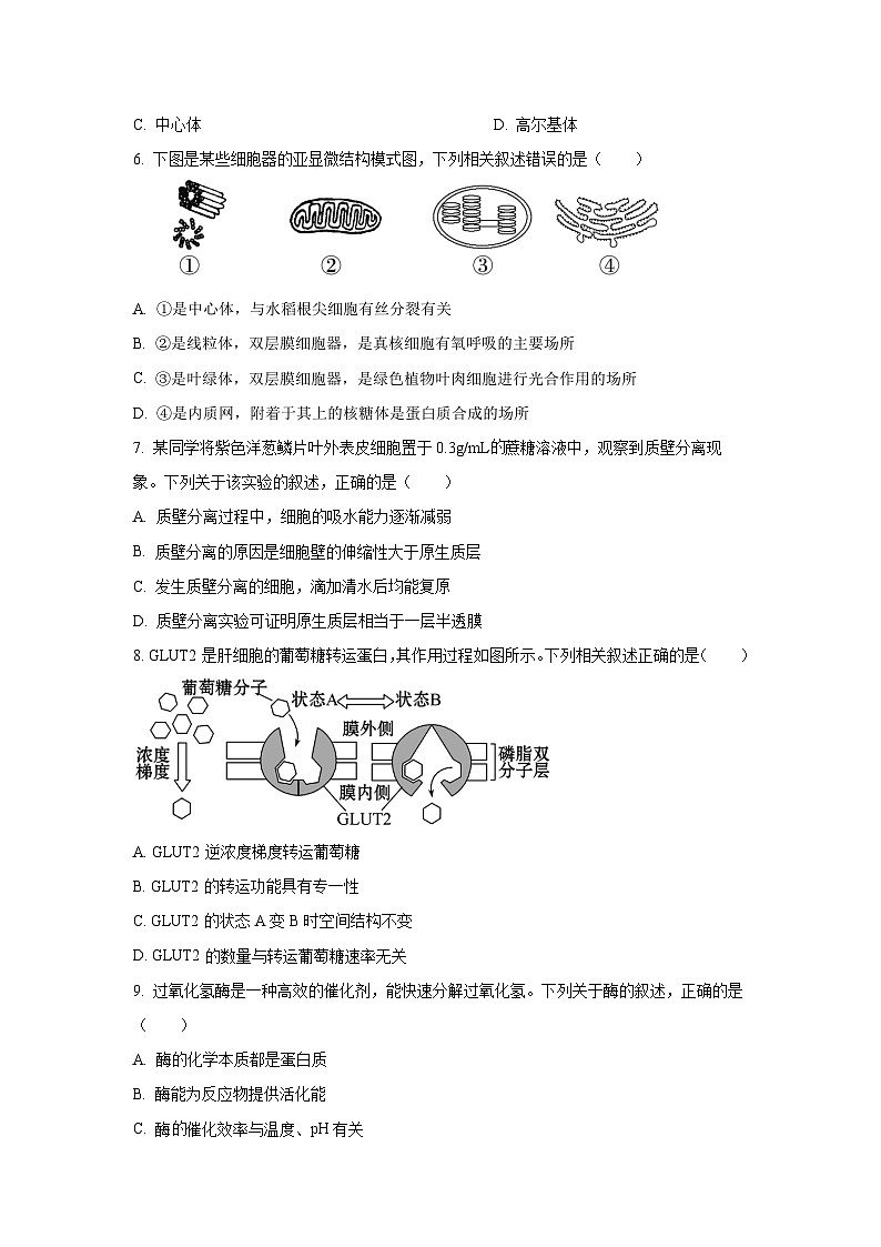 【生物】湖南娄底市部分高中2025-2026学年高三上学期期末考试（学生版）第2页