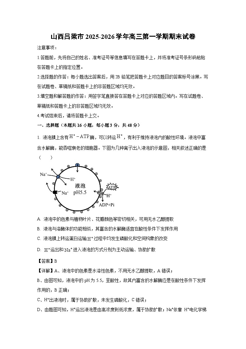 【生物】山西吕梁市2025-2026学年高三第一学期期末试卷（解析版）第1页