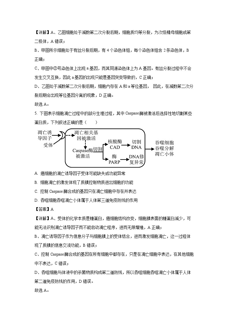 【生物】天津市五校联考2025-2026学年高三上学期期末考试（解析版）第3页
