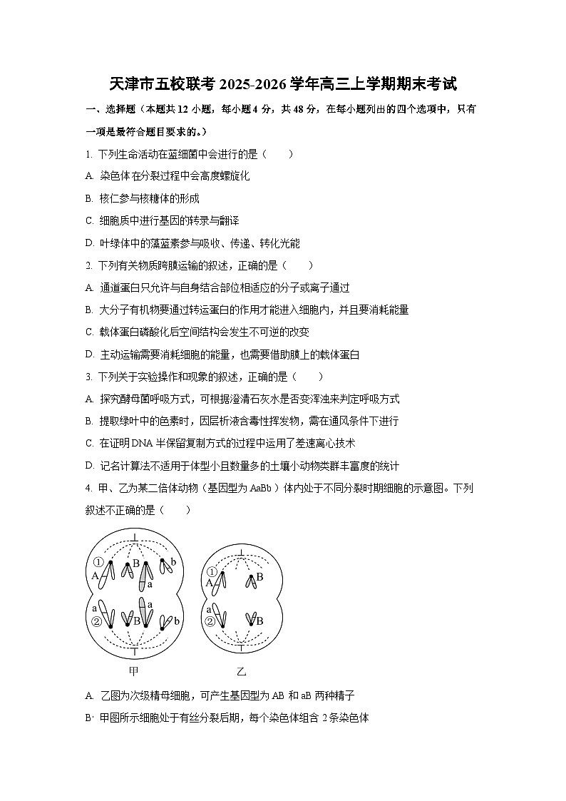 【生物】天津市五校联考2025-2026学年高三上学期期末考试（学生版）第1页