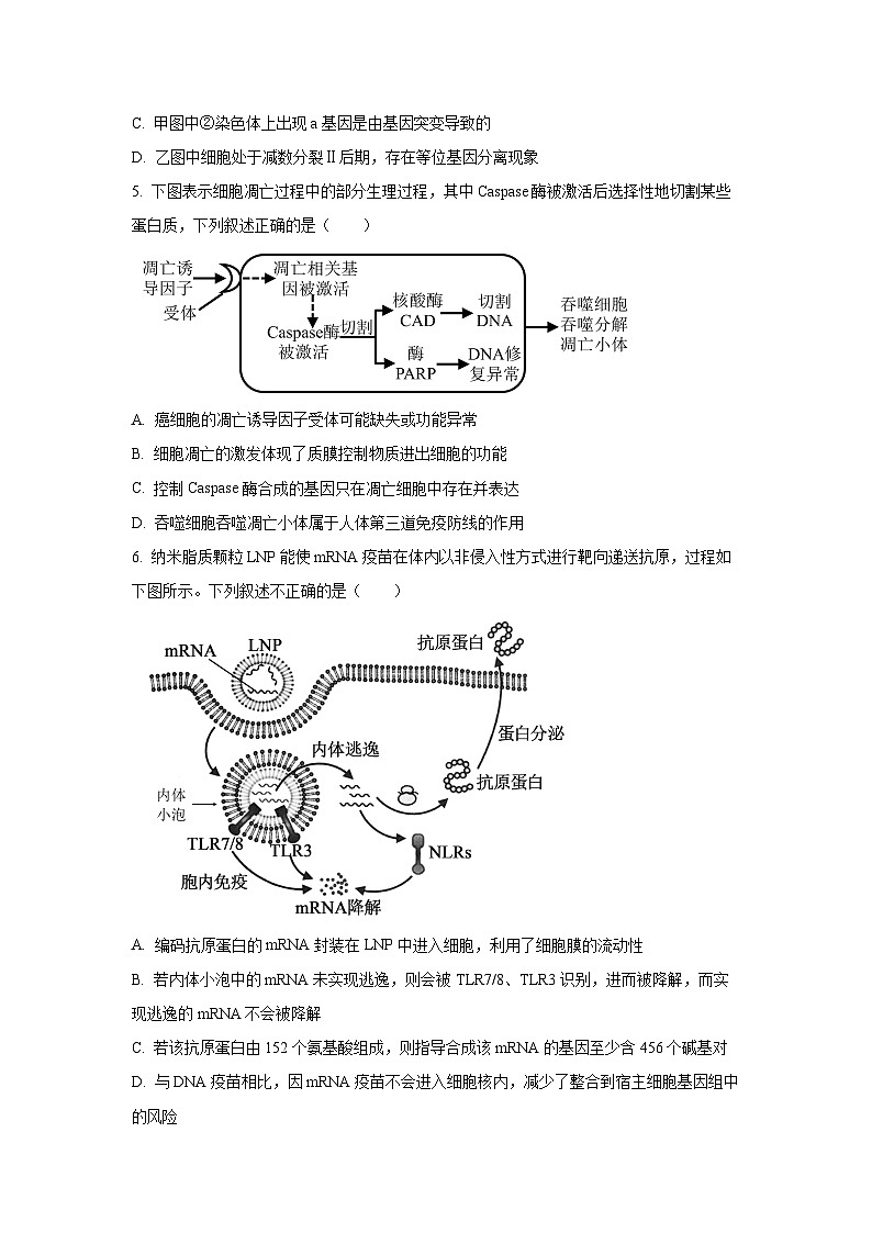 【生物】天津市五校联考2025-2026学年高三上学期期末考试（学生版）第2页