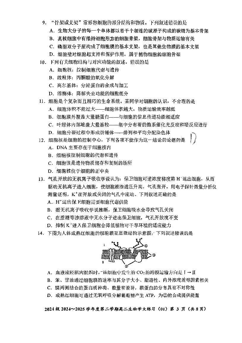 生物-东北师大附中2024-2025高一下学期开学考试题及答案第3页