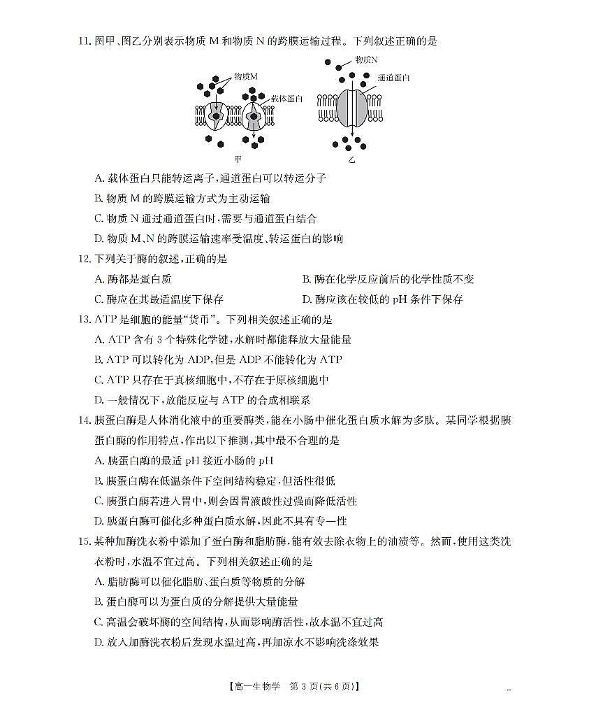 金太阳甘肃省陇南地区2025-2026学年高一上学期阶段性检测生物试卷（含答案）第3页
