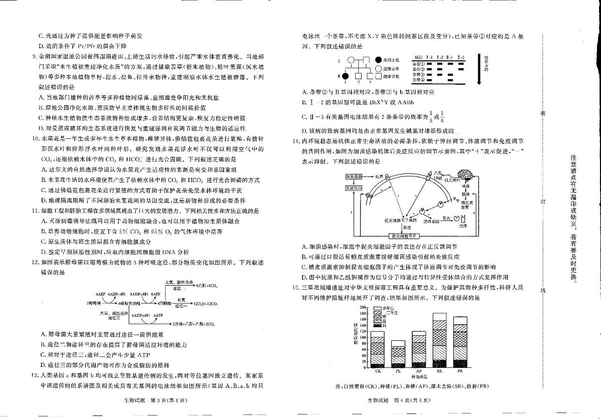 青桐鸣普通高中2025-2026学年高三年级上学期期末考试生物试卷（含答案）第2页